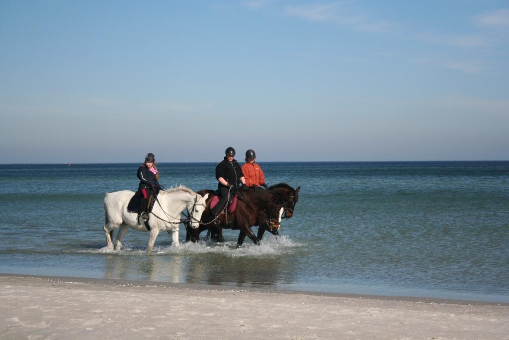 Ferienwohnung Ostseestrand زنغست الغرفة الصورة